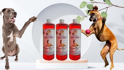 Swacch Shampoo Specially Formulated for Great DANE (1 Litre) (Pack of 3) Strawberry