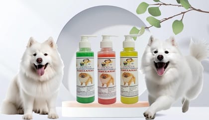 SWACCH Premium Shampoo for Pomeranian (200ML) (Combo Pack of 3) NEEM ALOVERA, Jasmine & Lemon