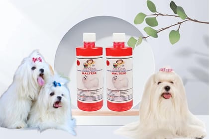 Swacch Shampoo Specially Formulated for Maltese (500ML) (Combo Pack of 2) Strawberry