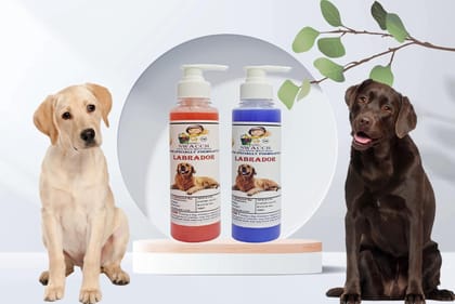 SWACCH Premium Shampoo for Labrador (200ML) (Pack of 2) Jasmine & Lavender