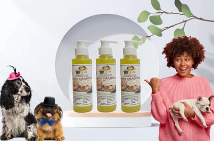 SWACCH Premium Shampoo for Dog (200ML) (Pack of 3) Lemon SWACCH Premium Shampoo for Dog (200ML) (Pack of 3) Lemon