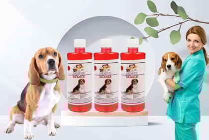 Swacch Shampoo Specially Formulated for Strawberry Beagle (500ml) (Combo Pack of 3) Strawberry