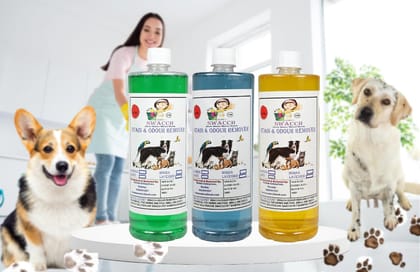 SWACCH STAIN & ODOUR REMOVER (1 LITRE) (COMBO PACK OF 3) MOGRA LAVENDER & LEMON