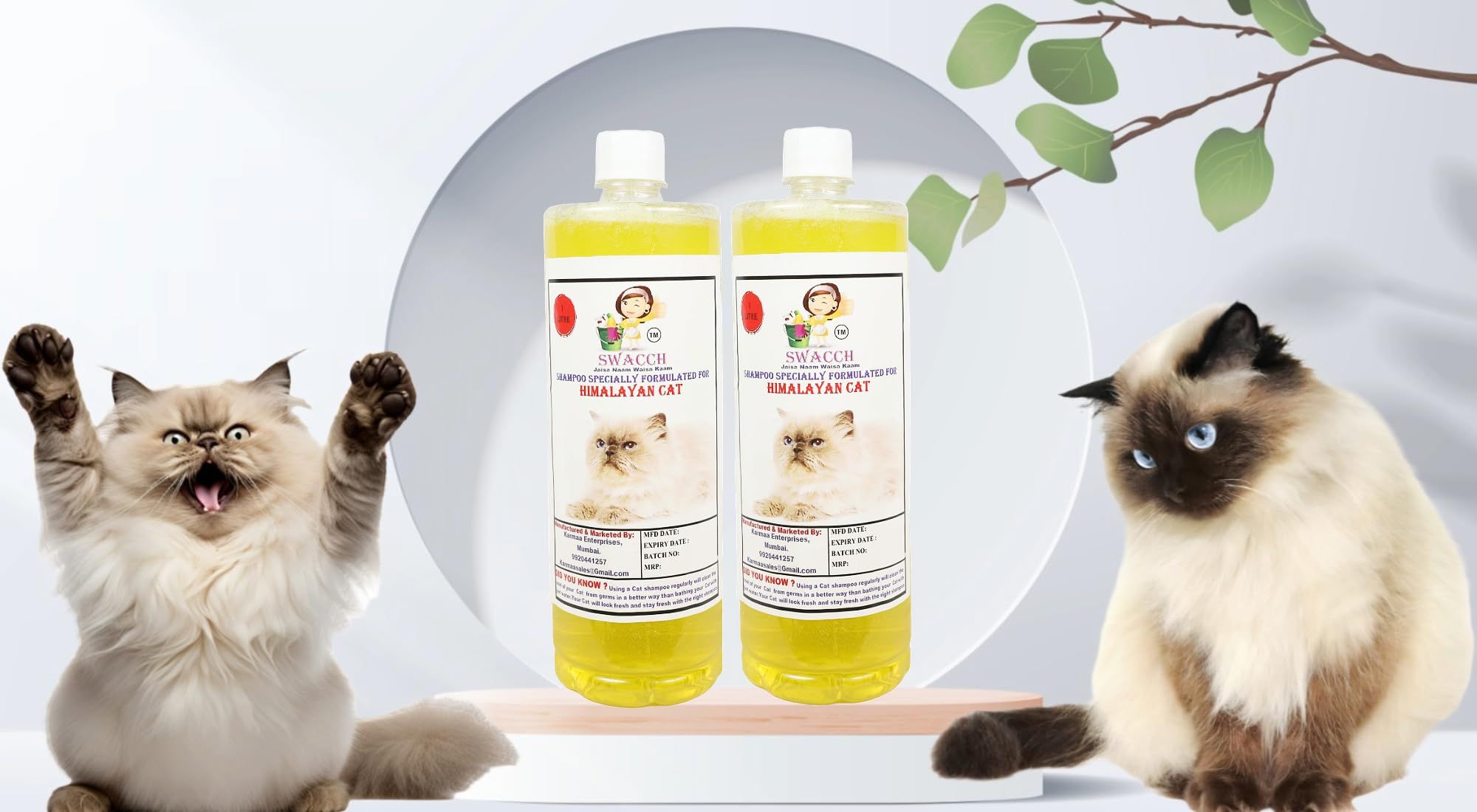 SWACCH Shampoo Specially Formulated for Himalayan Cat (1 Litre) (Pack of 2) Lemon