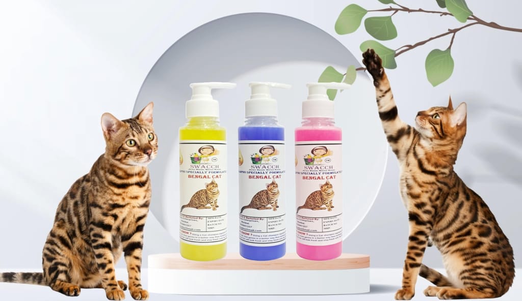 SWACCH Premium Shampoo for Bengal CAT (200ML) (Pack of 3) Lemon, Lavender & Rose