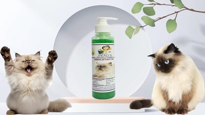 SWACCH Premium Shampoo for Himalayan CAT (200ML) NEEM ALOVERA