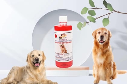 SWACCH Shampoo Specially FORMULATED for Golden Retriever (500ML) Jasmine