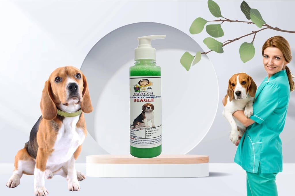 SWACCH Premium Shampoo for Beagle (200ML) NEEM ALOVERA