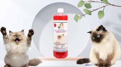 Swacch Shampoo Specially Formulated for Himalayan Cat (1 Litre) Jasmine