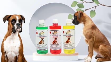 SWACCH Shampoo Specially FORMULATED for Boxer (500ML) (Combo Pack of 3) NEEM ALOVERA, Jasmine & Lemon SWACCH Shampoo Specially FORMULATED for Boxer (500ML) (Combo Pack of 3) NEEM ALOVERA, Jasmine & Lemon
