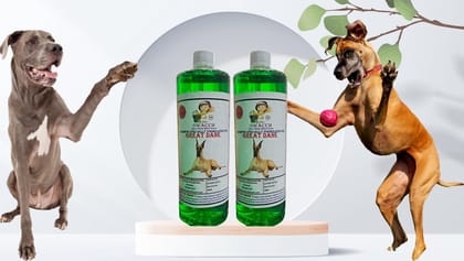 Swacch Shampoo Specially Formulated for Great DANE (1 Litre) (Pack of 2) Neem Alovera