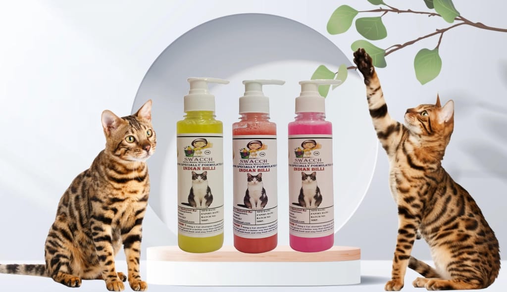 SWACCH Premium Shampoo for Indian Billi (200ML) (Pack of 3) Lemon, Strawberry & Rose