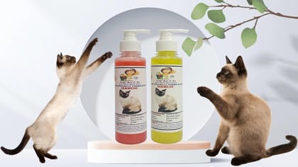 SWACCH Premium Shampoo for Siamese CAT (200ML) (Combo Pack of 2) STARWBERRY & Lemon