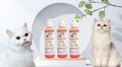SWACCH Premium Shampoo for Persian CAT (200ML) (Pack of 3) Strawberry