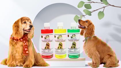 Swacch Shampoo Specially Formulated for Cocker Spaniel (500ML) (Combo Pack of 3) Jasmine, Lemon & Neem Alovera
