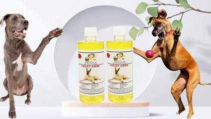 Swacch Shampoo Specially Formulated for Great DANE (500ML) (Combo Pack of 2) Lemon