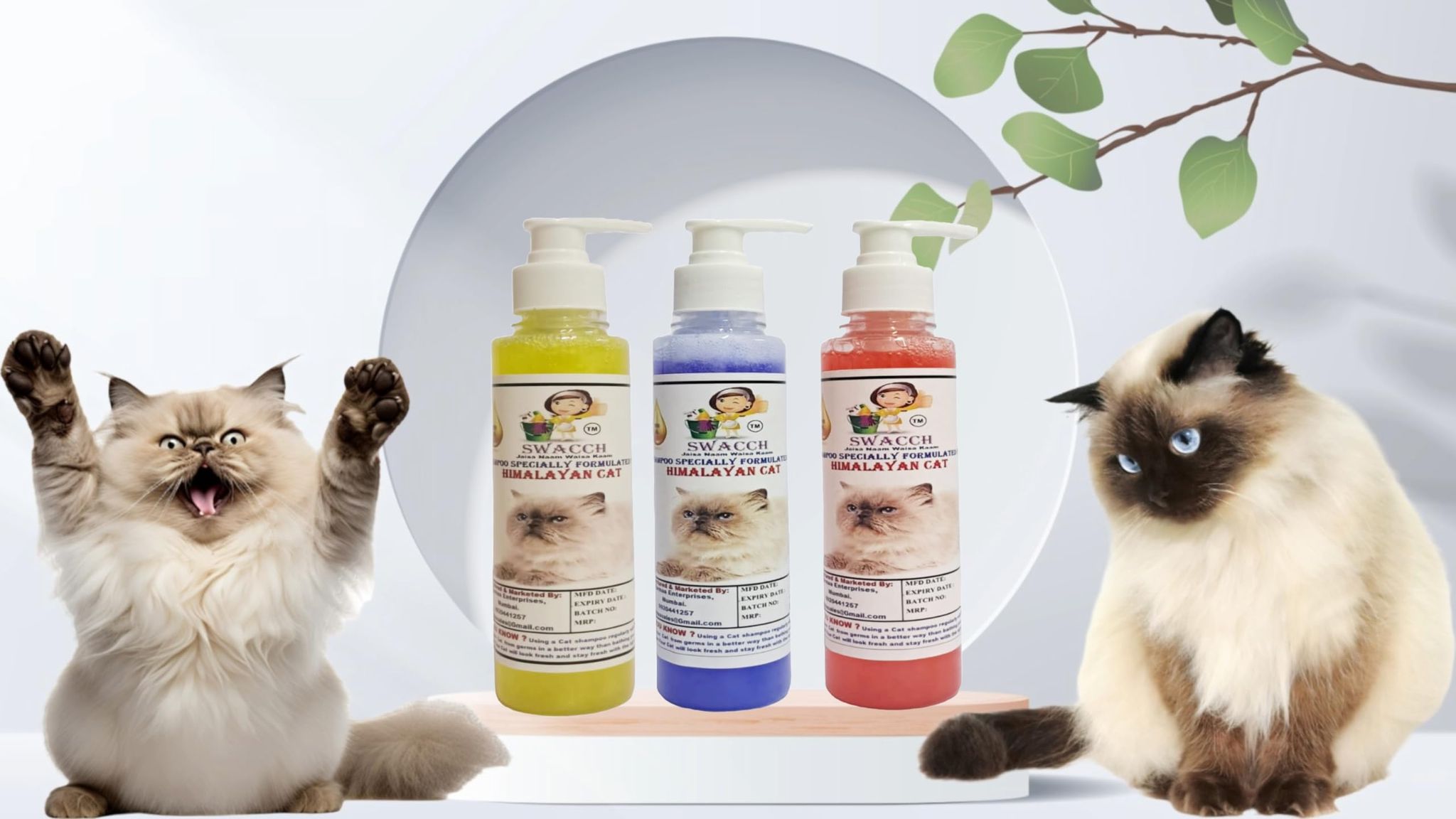 SWACCH Premium Shampoo for Himalayan CAT (200ML) (Combo Pack of 3) Lemon, Lavender & Jasmine