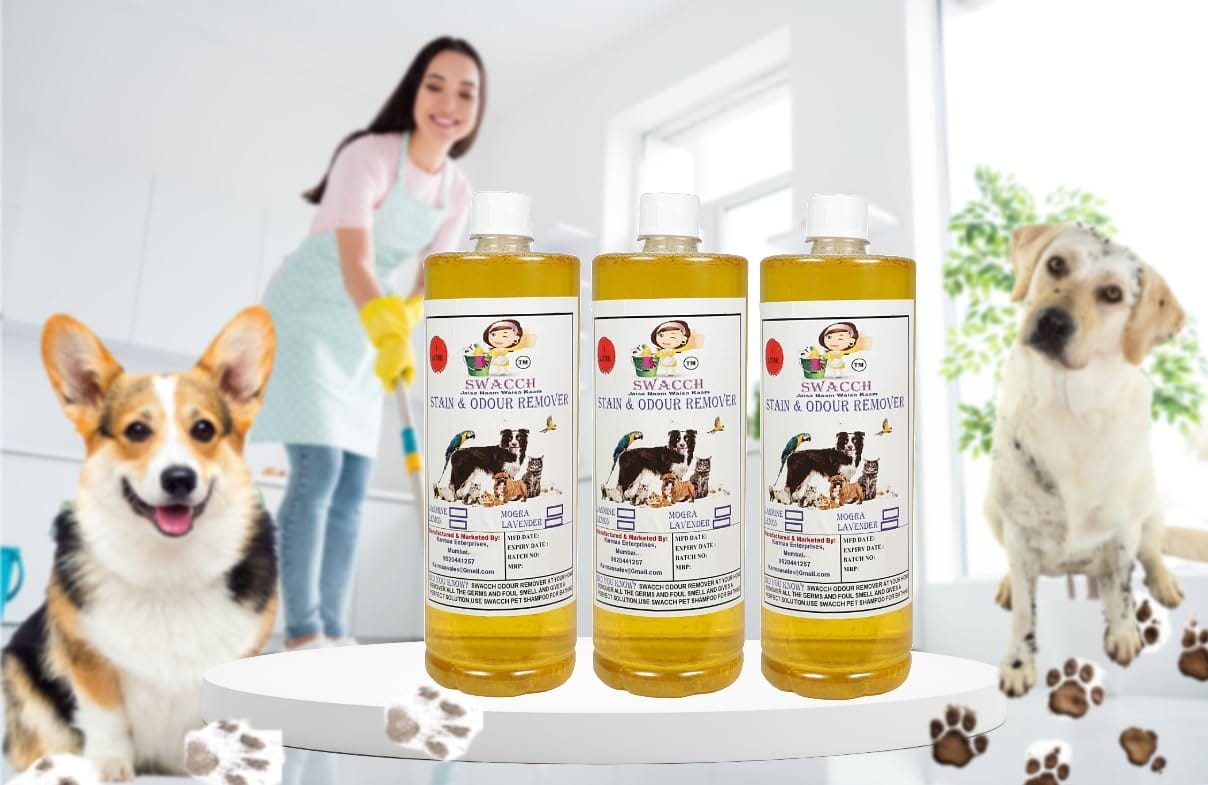 Swacch STAIN & ODOUR REMOVER (1 Litre) (Pack of 3) Lemon