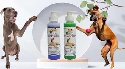 SWACCH Premium Shampoo for Great DANE (200ML)(Combo Pack of 2) Lavender & NEEM ALOVERA