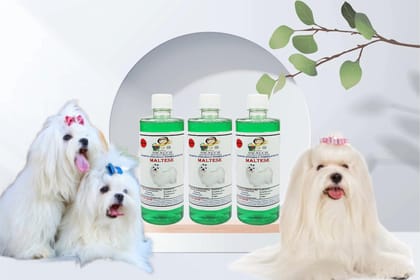 Swacch Shampoo Specially Formulated for Maltese (500ml) (Combo Pack of 3) Neem Alovera