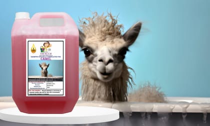 Swacch Shampoo Specially Formulated for Camel (5 Litre) Strawberry