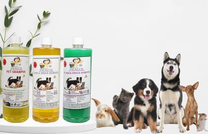 Swacch Shampoo (Lemon) + Deodorizer (Lemon) + Stain Remover (Jasmine) 1 Litre Each