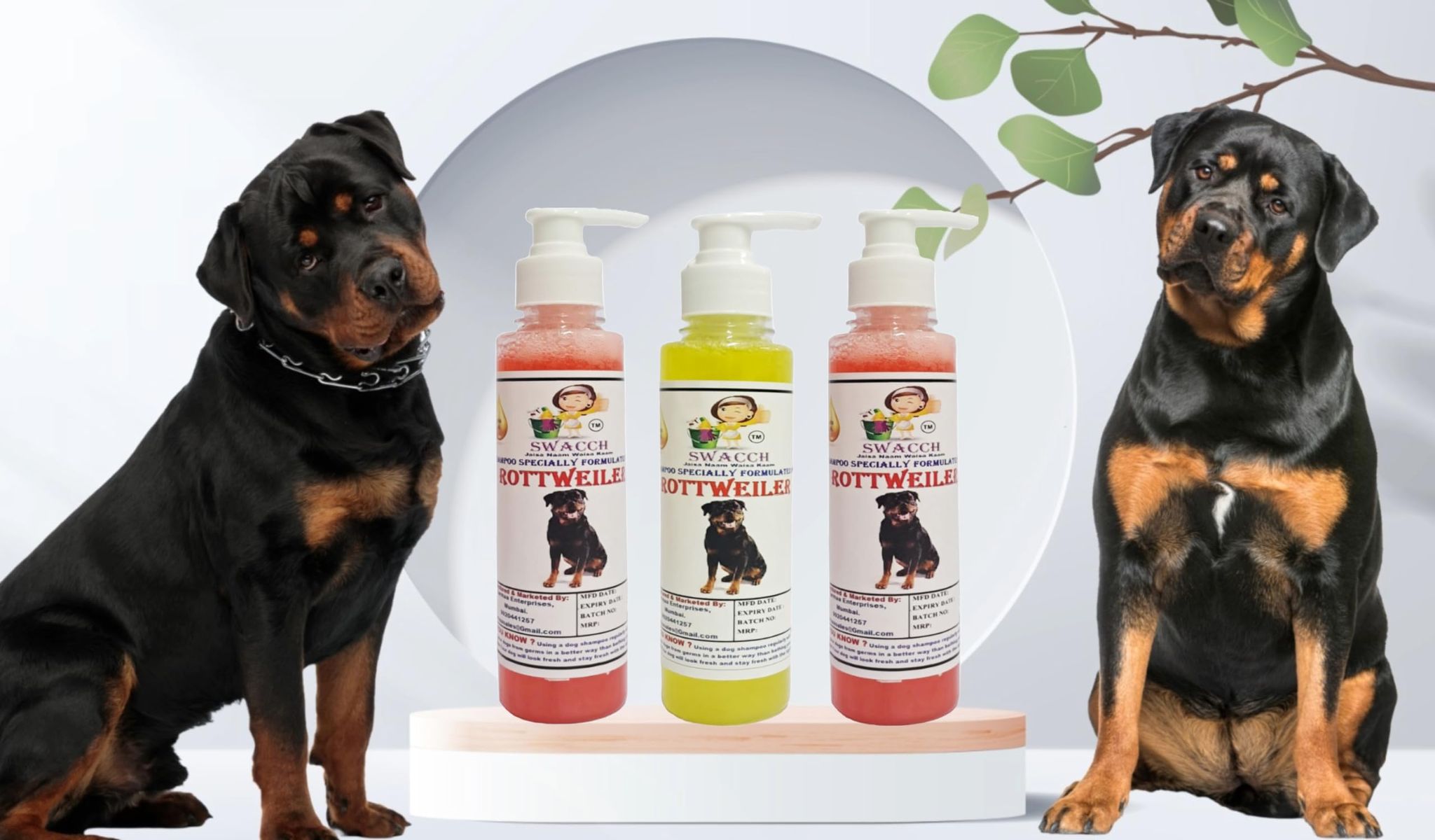 SWACCH Premium Shampoo for Rottweiler(200ML) (Combo Pack of 3) Jasmine, Lemon & Strawberry