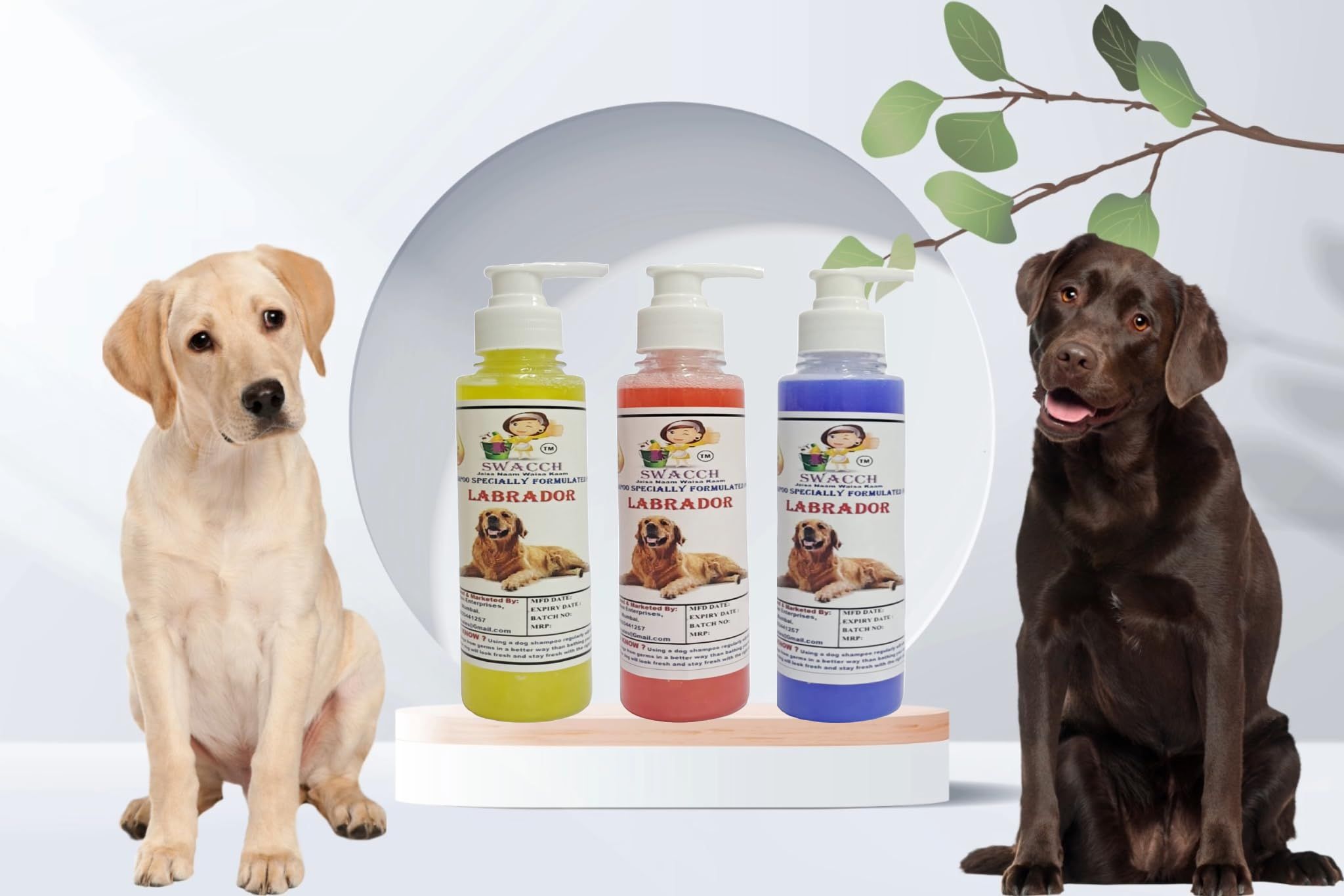 SWACCH Premium Shampoo for Labrador (200ML) (Combo Pack of 3) Lemon, Jasmine & Lavender
