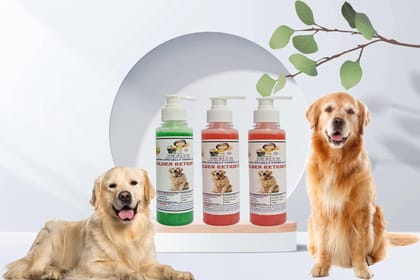 SWACCH Premium Shampoo for Golden Retriever (200ML) (Combo Pack of 3) NEEM ALOVERA, Jasmine & Strawberry