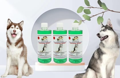 Swacch Shampoo Specially Formulated for Siberian Husky (500ml) (Combo Pack of 3) Neem Alovera