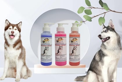 SWACCH Premium Shampoo for Siberian Husky (200ML) (Combo Pack of 3) Lavender, Rose & Jasmine