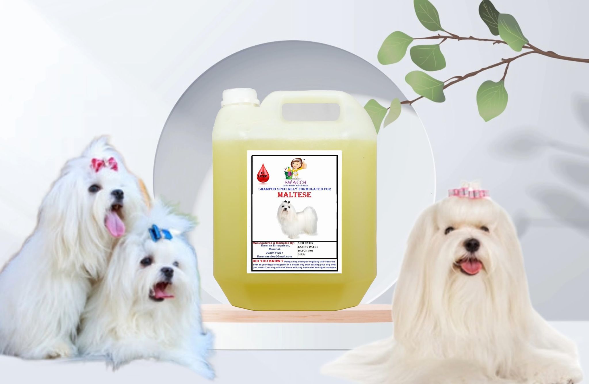 Swacch Shampoo Specially Formulated for Maltese (10 Litre) Lemon