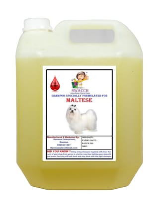 Swacch Shampoo Specially Formulated for Maltese (10 Litre) Lemon