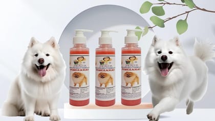 SWACCH Premium Shampoo for Pomeranian (200ML) (Pack of 3) Strawberry