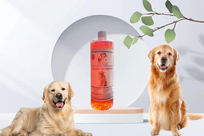 SWACCH Shampoo Specially FORMULATED for Golden Retriever (1 Litre) Jasmine