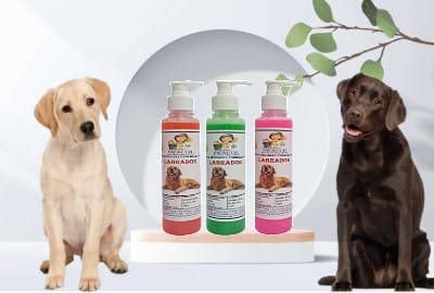 SWACCH Premium Shampoo for Labrador (200ML) (Combo Pack of 3) Jasmine, NEEM ALOVERA & Rose