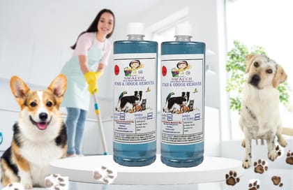 Swacch STAIN & ODOUR REMOVER (1 Litre) (Pack of 2) Lavender