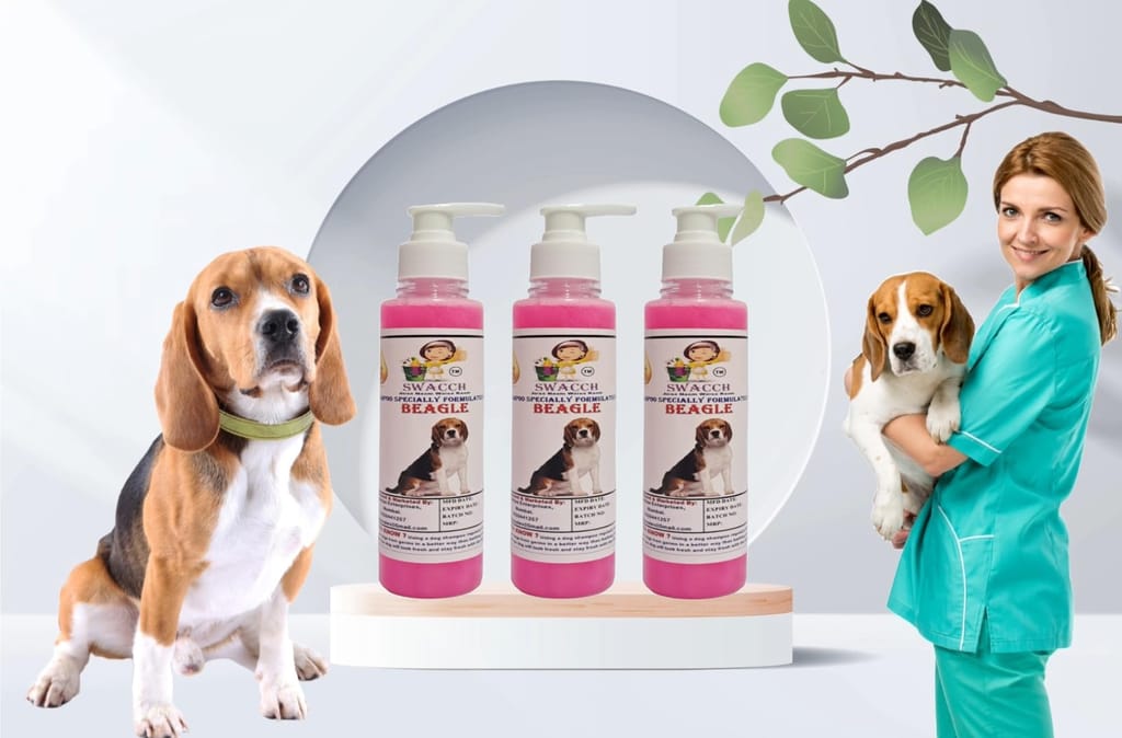 SWACCH Premium Shampoo for Beagle (200ML) (Pack of 3) Rose