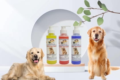 SWACCH Premium Shampoo for Golden Retriever (200ML) (Combo Pack of 3) Lemon, Strawberry & Lavender