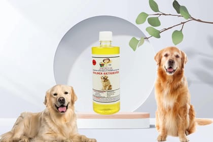 SWACCH Shampoo Specially FORMULATED for Golden Retriever (500ML) Lemon