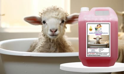 Swacch Shampoo Specially Formulated for Sheep (5 Litre) Jasmine