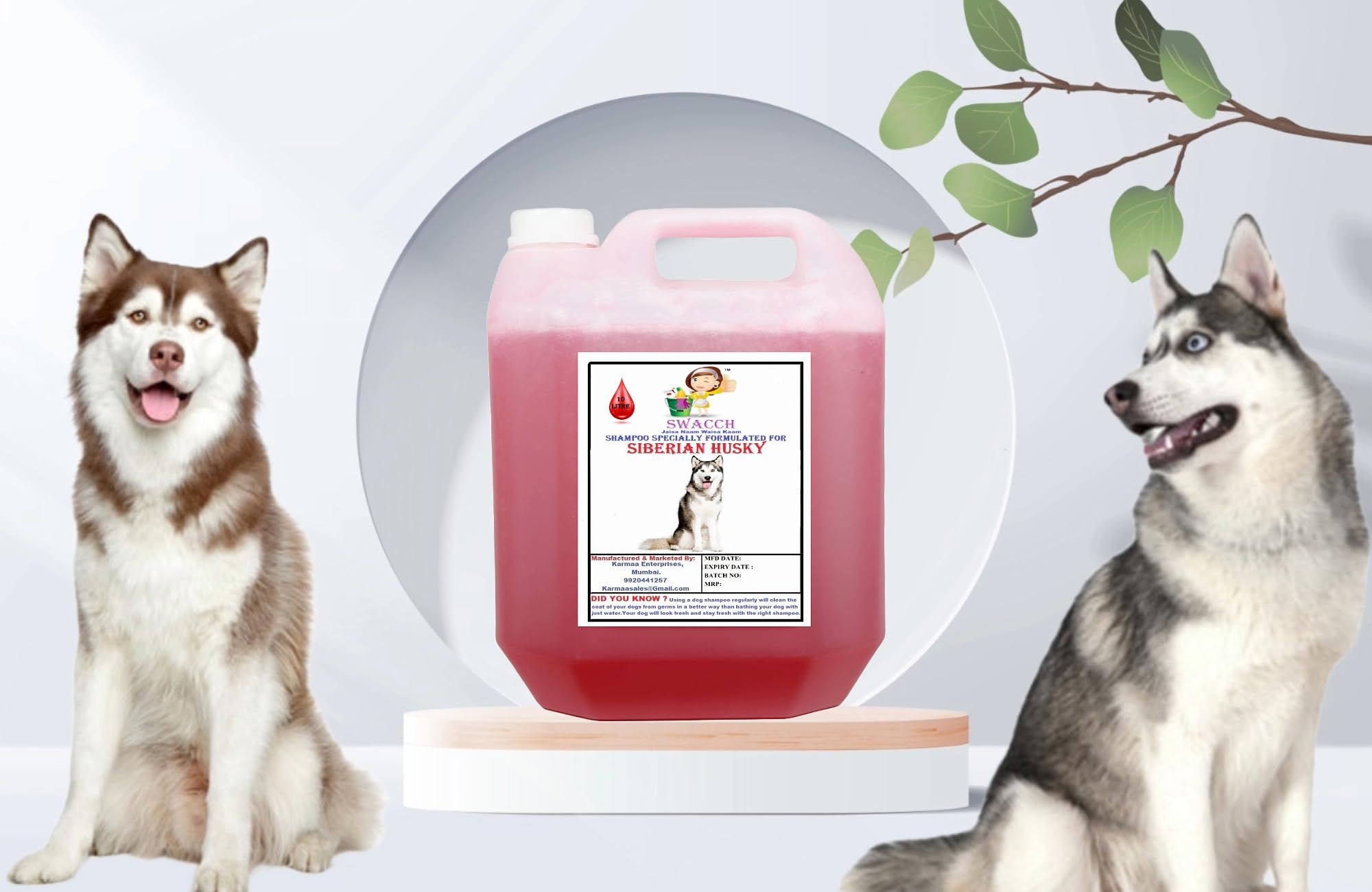 Swacch Shampoo Specially Formulated for Siberian Husky (10 Litre) Jasmine