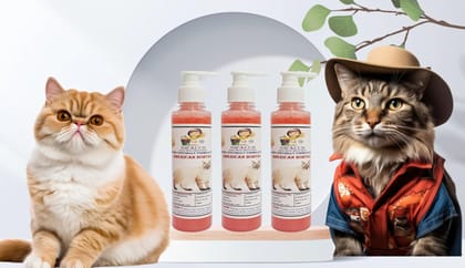 SWACCH Premium Shampoo for American Bobtail (200ML) (Pack of 3) Jasmine SWACCH Premium Shampoo for American Bobtail (200ML) (Pack of 3) Jasmine