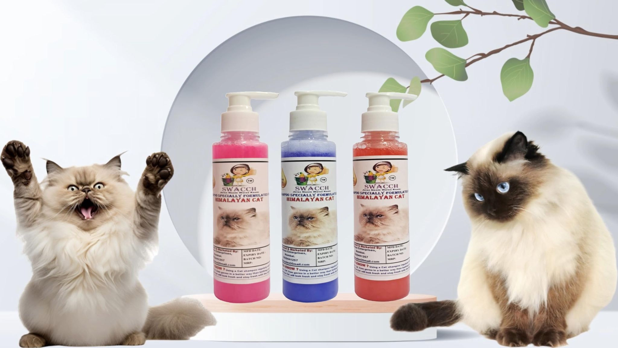 SWACCH Premium Shampoo for Himalayan CAT (200ML) (Combo Pack of 3) Rose, Jasmine & Lavender