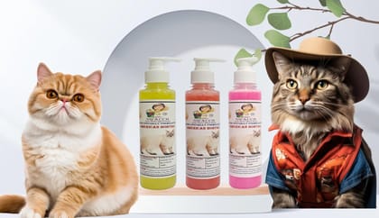 SWACCH Premium Shampoo for American Bobtail (200ML) (Combo Pack of 3) Lemon, Strawberry & Rose