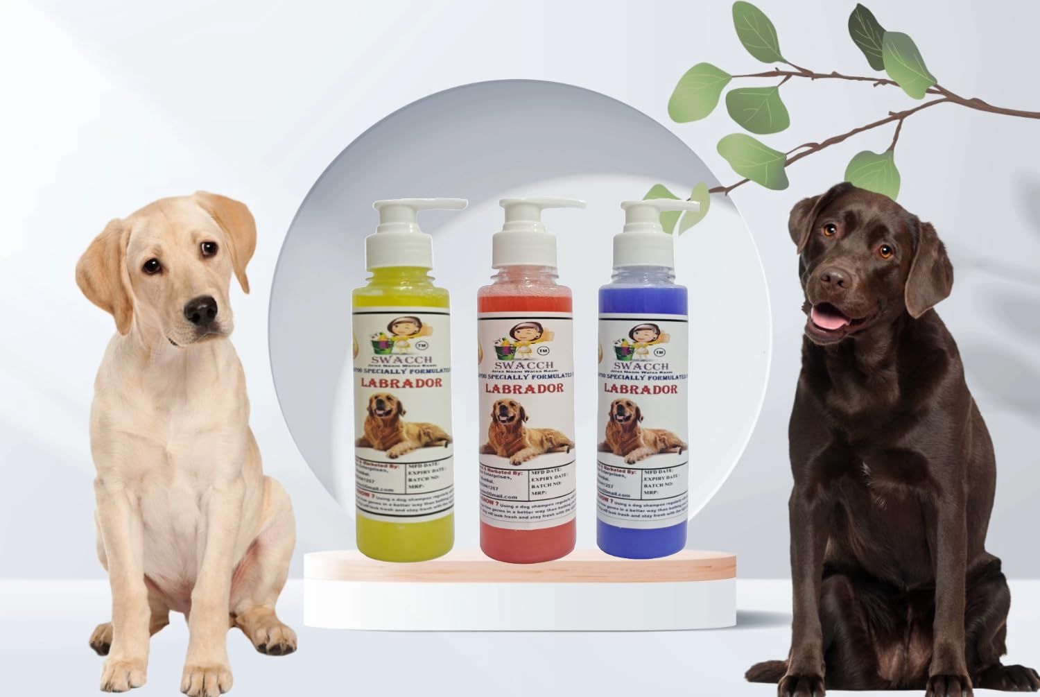 SWACCH Premium Shampoo for Labrador (200ML) (Combo Pack of 3) Lemon, Jasmine, Lavender