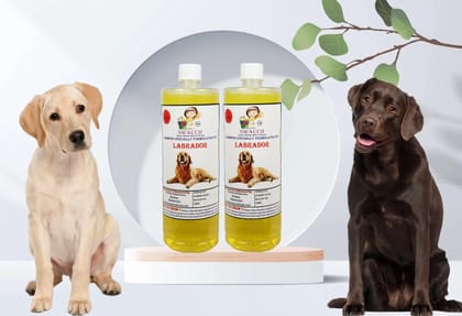 SWACCH Shampoo Specially FORMULATED for Labrador (1 Litre) (Pack of 2) Lemon