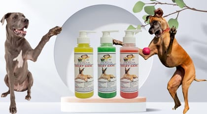 SWACCH Premium Shampoo for Great DANE (200ML) (Combo Pack of 3) Lemon, NEEM ALOVERA & Strawberry