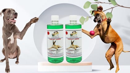 Swacch Shampoo Specially Formulated for Great DANE (500ML) (Pack of 2) Neem Alovera