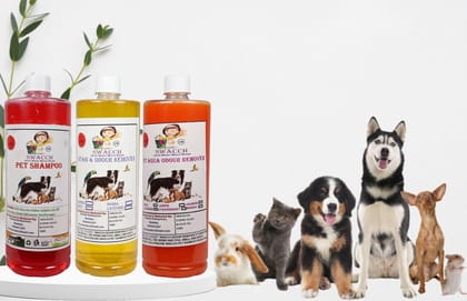 Swacch Shampoo (Jasmine) + Deodorizer (Lemon) + Stain Remover (Orange) 1 Litre Each